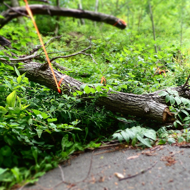 Terrasse en bois: créez votre jardin balcon luxuriant. Balcon ensoleillé avec plancher en bois, parterre de fleurs roses et jaunes luxuriantes. Fauteuil moderne gris, vue sur la ville.