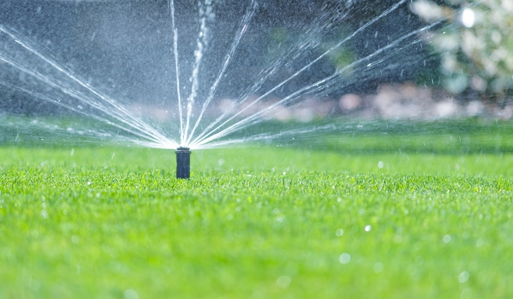 Arroseur de pelouse : système d'irrigation pour gazon vert luxuriant. Un arroseur automatique noir pulvérise de fins jets d'eau sur une pelouse verte luxuriante. Le soleil brille, créant de la brume et des reflets.